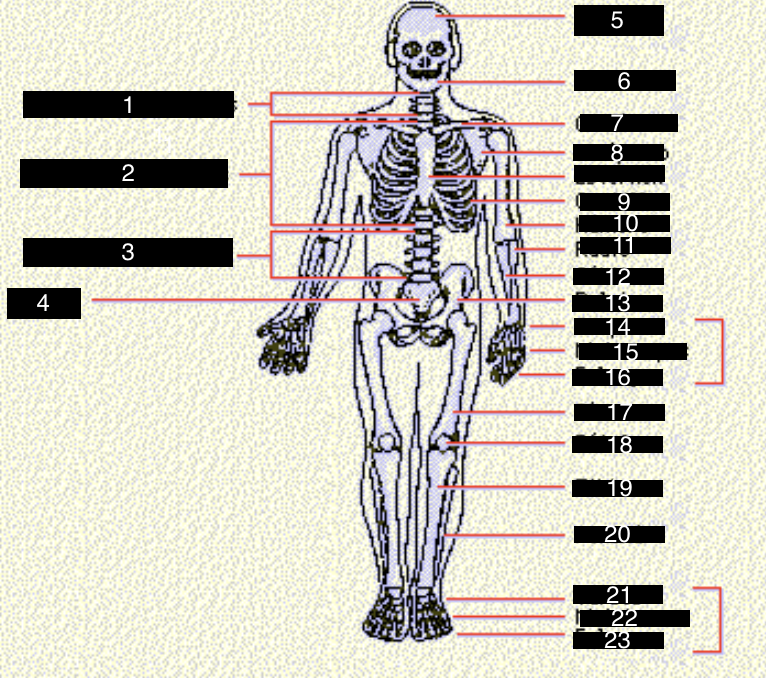 <p>1</p>