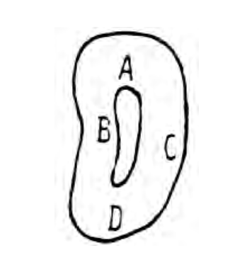 <p>Which surface is indicated by B on this pulpal section </p>