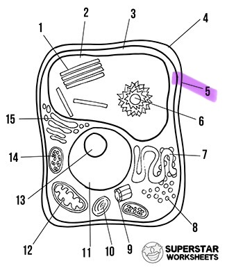 <p>What is the highlighted area called </p>