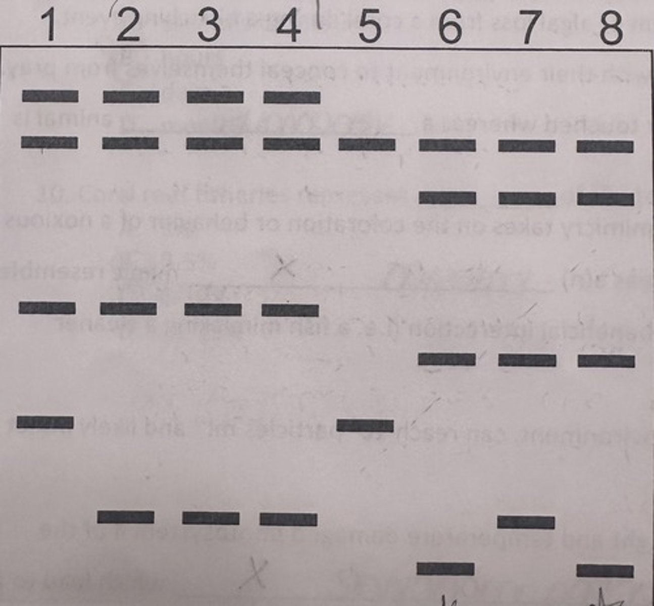 <p>The technique used was denaturing gel gradient electrophoresis. There are at least 5 distinct bacterial communities. 2, 3, and 4 all exhibit the same bacterial composition, and 6 and 8 share the same composition</p>