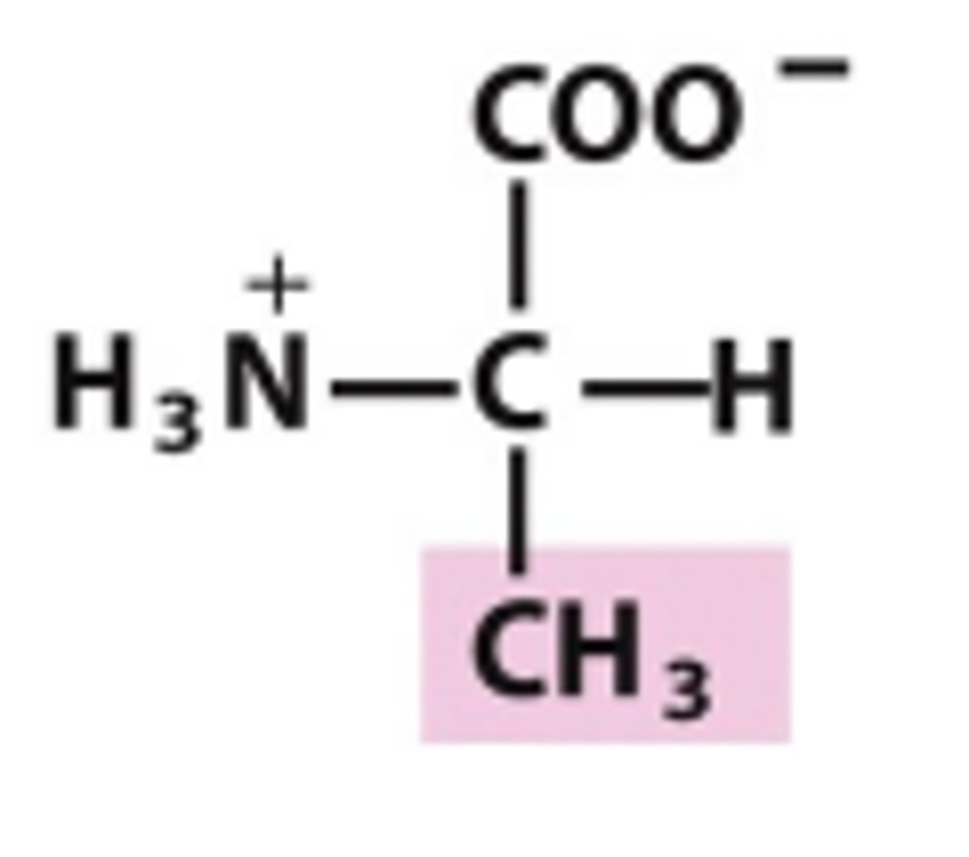 <p>Which amino acid is this?</p>