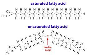 Contains a double bond in a fatty acid chain