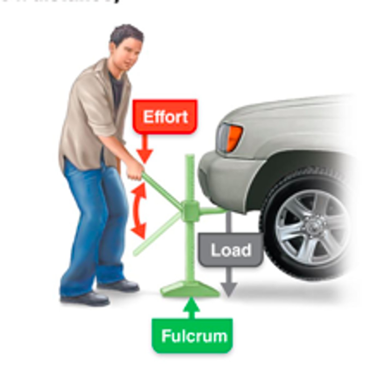 <p>Load is close to fulcrum and effort applied far; slower but stronger; used when strength is a priority</p>