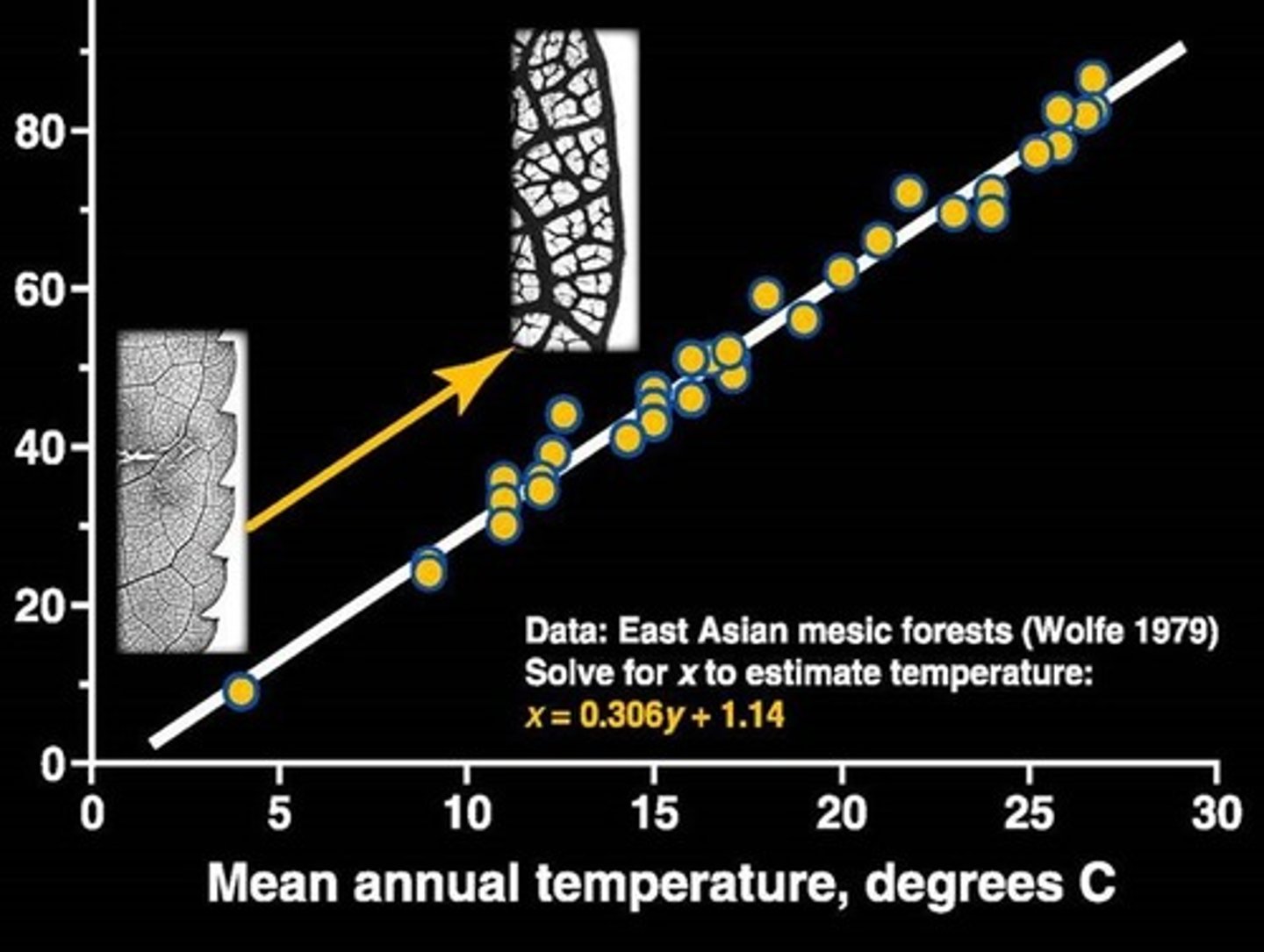 <p>Higher temperature, fewer toothed species</p>