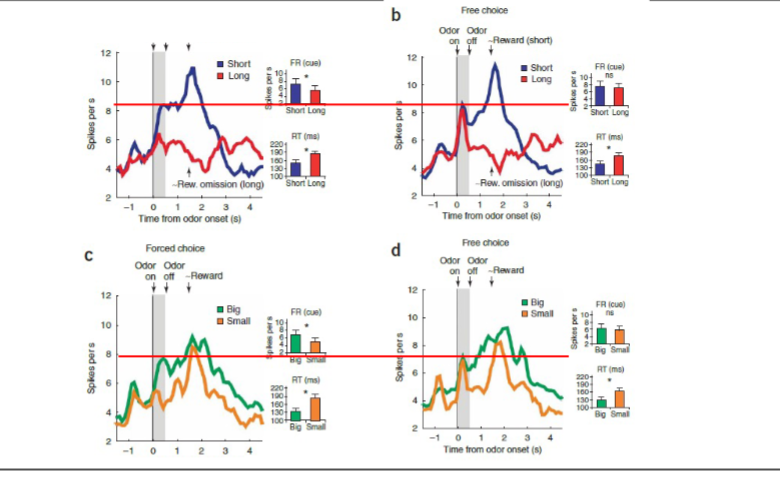 <p>Forced choice task vs free choice task data <strong>Roesch et al (2007)</strong></p>