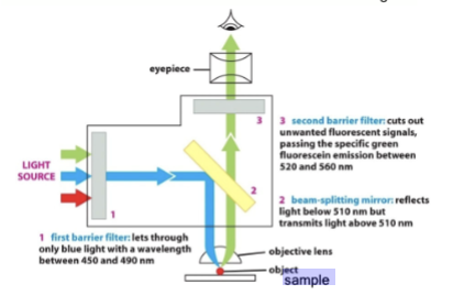 <p>Control the ___________ through the optical train with barrier and beam-splitting mirrors.</p>
