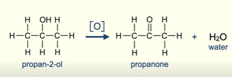 <ul><li><p>Ketone </p></li><li><p>Molecule of water </p></li></ul><p></p>