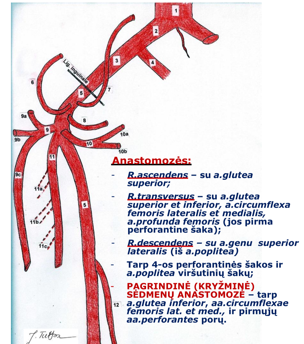 <p>10a</p>
