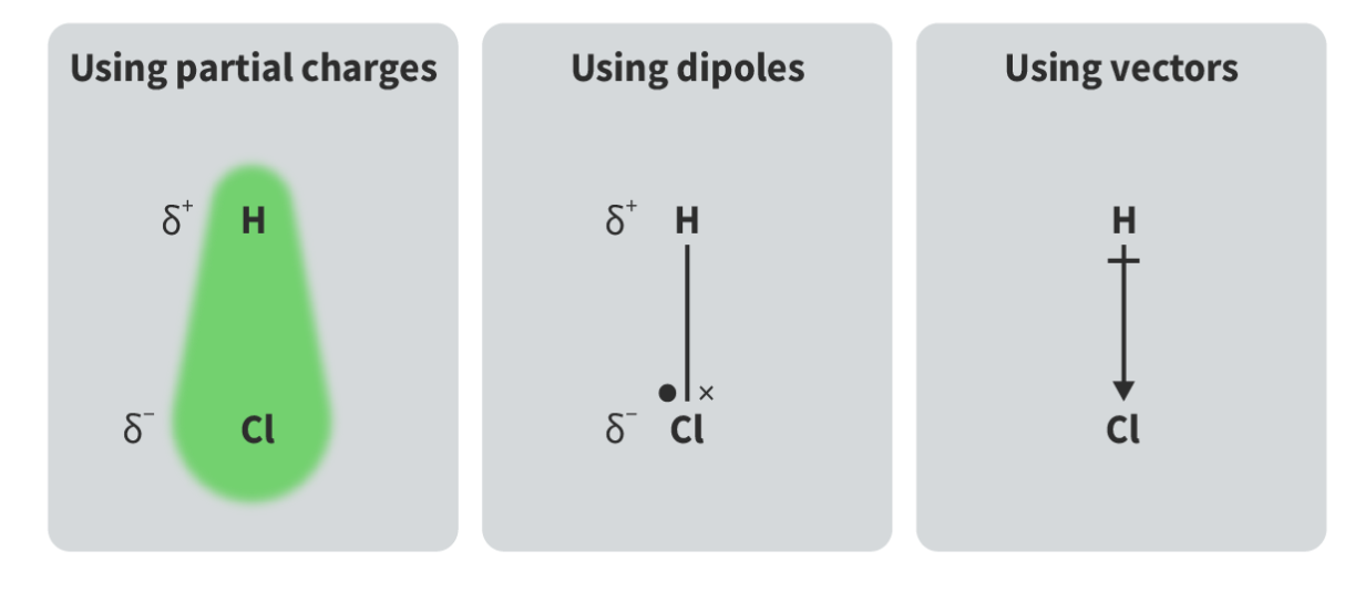 <p><span>The two separated opposite electric charges, δ+ and δ-, existing in a polar bond in the dipole .</span></p><p></p>