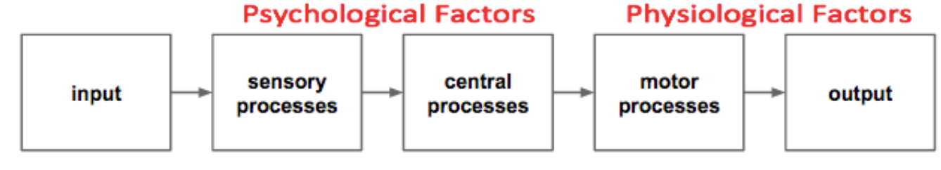 <p><span style="color: rgb(39, 78, 19)">Human information-processing systems, considering inputs, processes (sensory, central and motor) and outputs. </span></p><p></p><p></p>