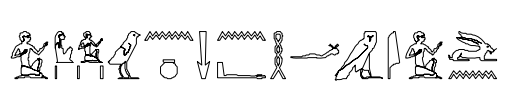 term image