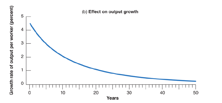 <p>It takes a long time for output to adjust to its new higher level after an increase in the saving rate. Put another way, an increase in the saving rate leads to a long period of higher growth.</p>