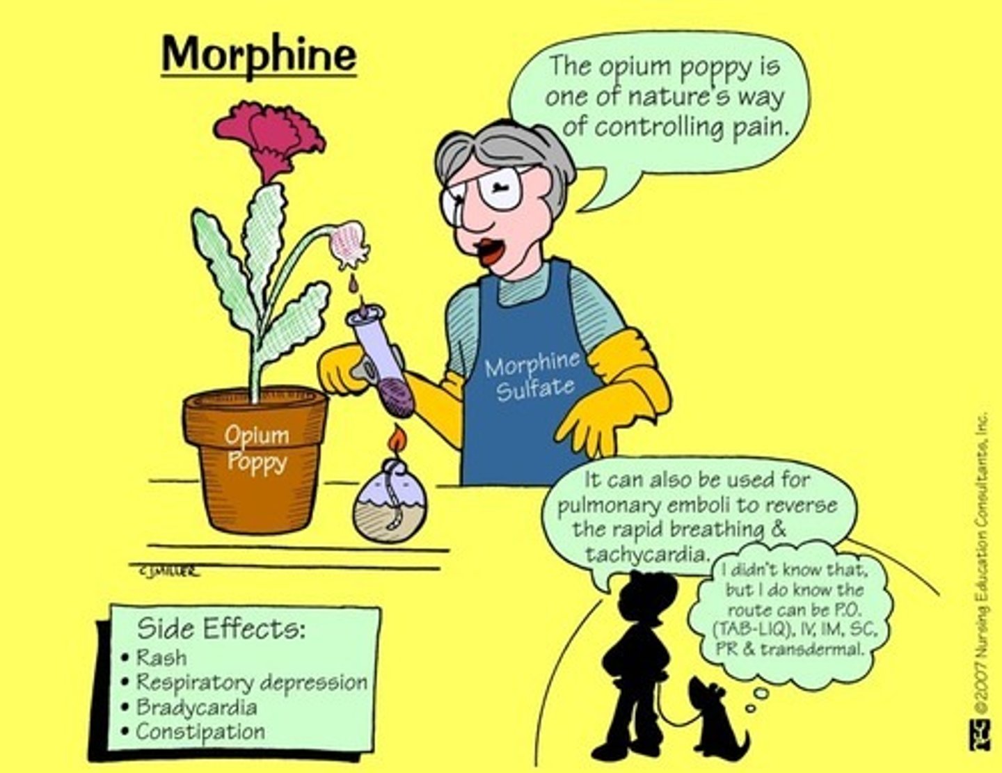 <p>Drugs that produce opium like effects</p>