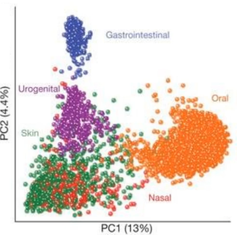 <p>what does this diagram show/tell you?</p>