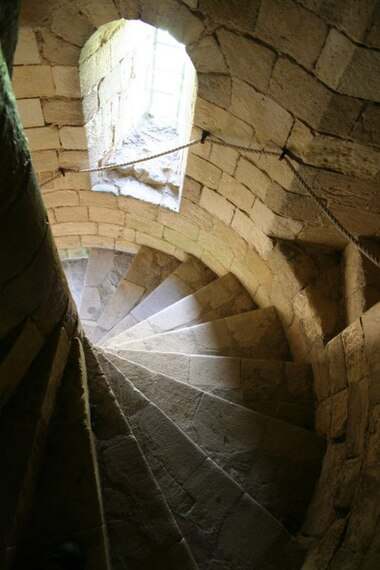 <p><span><span>un escalier qui tourne en spirale autour d'un axe central, souvent un pilier ou un fût</span></span></p>