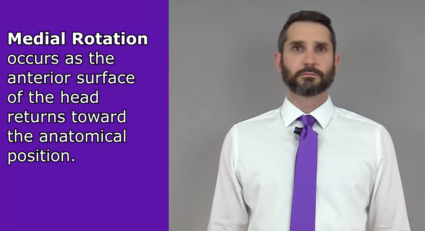 <p>returning the head to anatomical position</p>