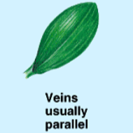 <p>What is this structure of? </p>