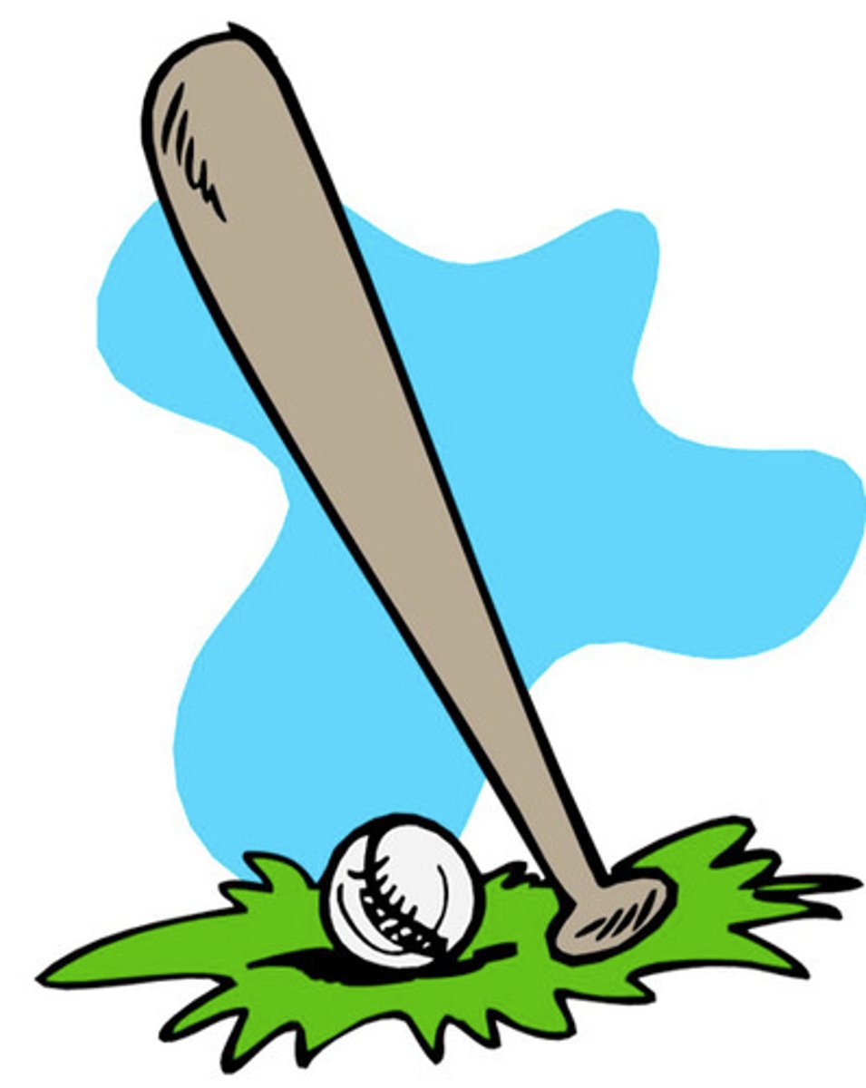 <p>baseball bat</p>