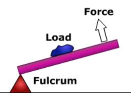 <p>the load is in the middle, effort and fulcrum are on the outside</p>