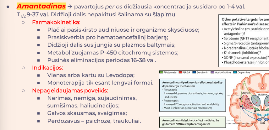 <p><strong>Amantadinas</strong></p>