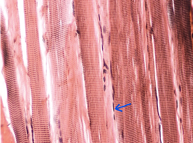 <p>What is this?</p>