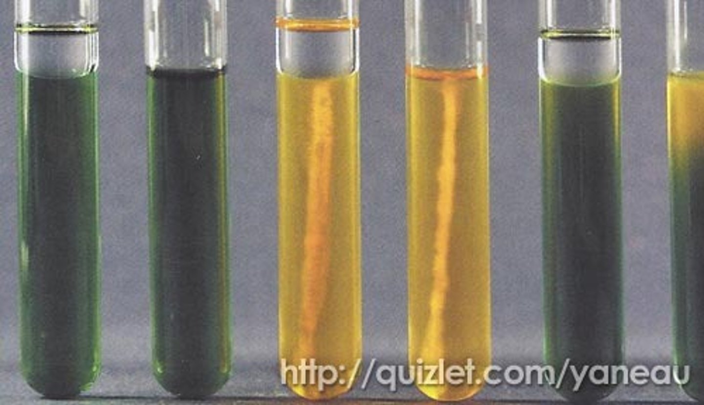 <p>oxidative or fermentative metabolism of carb in tube</p><p>oxidative: yellow color in open tube only</p><p>fermentative: yellow color in both open tube and closed tube</p><p>neither: green or blue color in both open and closed tubes</p>