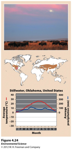 Usually occur in the interiors of continents in areas too moist for deserts and too dry for forests. Seasonal drought