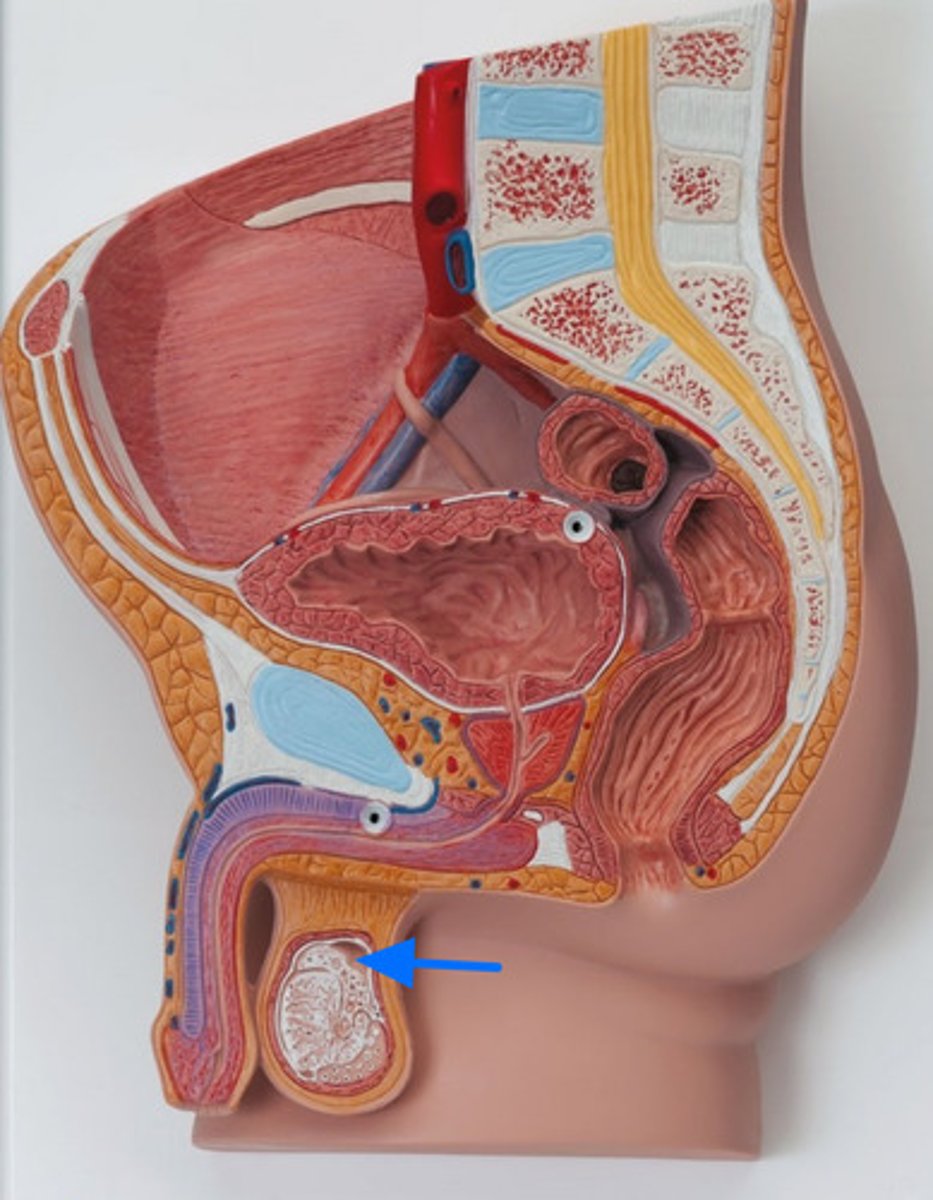 <p>ID Space Marked by the Blue Arrow</p>