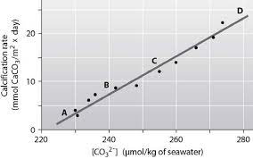 Below is a figure from an experiment that was performed to measure the effect of carbonate ion (CO32-) concentration on the calcification (growth) rate of coral reefs. At which point on the graph is the ocean pH the lowest?