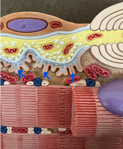 <p>What is this?</p>