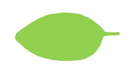 <p>Leaf shape?</p>