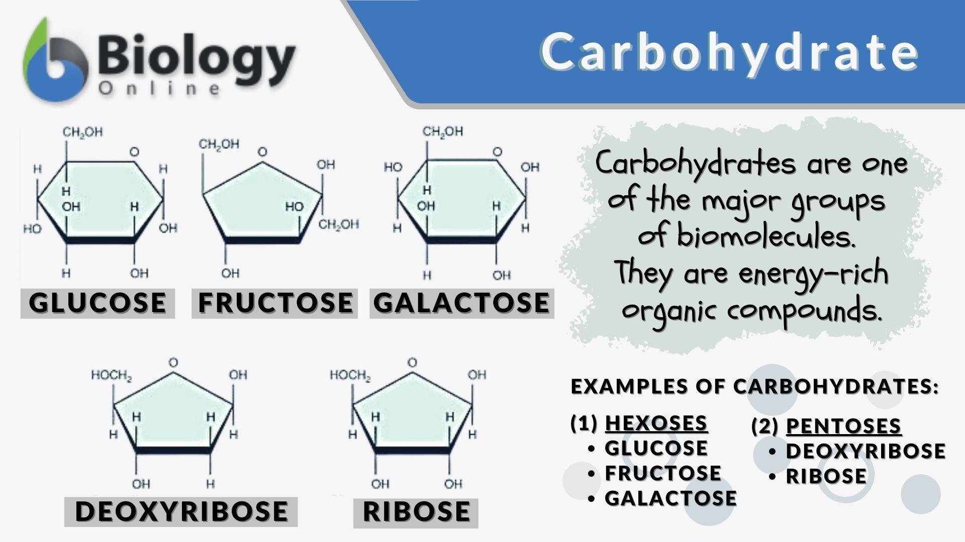 <p>A class of macromolecules whose functions include short-term energy storage and providing building material. Composed of carbon, hydrogen, and oxygen.</p>