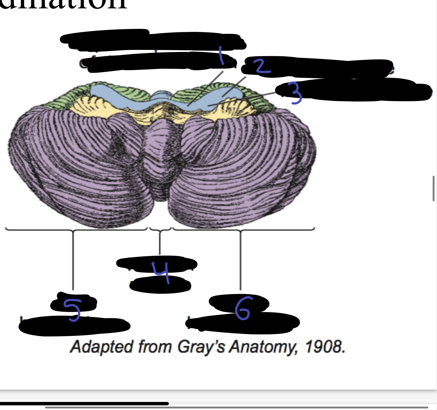 <ol><li><p>superior peduncle of the cerebellum</p></li><li><p>middle peduncle</p></li><li><p>inferior peduncle</p></li><li><p>median vermis</p></li><li><p>left hemisphere</p></li><li><p>right hemisphere</p></li></ol>