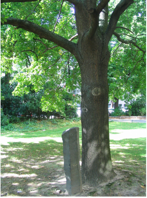 <p>City Forestation Instead of City Administration</p><p>Joseph Beuys - 1982</p><p>notable work when we look at social sculpture</p><p>as part of a public art program and project, he planted 7000 trees, each with its own stone marker</p><p>him as an artist is working to make the world a better place by planting these trees</p>