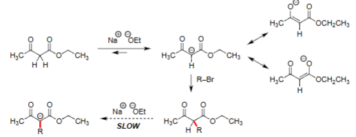 <ul><li><p>NaOEt generates the stabilized enolate of ethyl acetoacetate for monoalkylation.</p></li><li><p>Enolate attacks primary alkyl halides (R–Br) via SN2, giving α-alkylacetoacetates.</p></li><li><p>A stronger base (e.g., LDA or KOtBu) is needed to fully deprotonate the second α-H for dialkylation.</p></li><li><p>Second alkylation gives α,α-dialkylated β-keto esters (R and R′ introduced).</p></li></ul><p></p>
