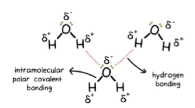 <p><span style="font-family: Verdana">polar, molecules containing hydrogen (slightly positive) covalently bonded to nitrogen/ oxygen/ fluorine (slightly negative), relatively strong</span></p>