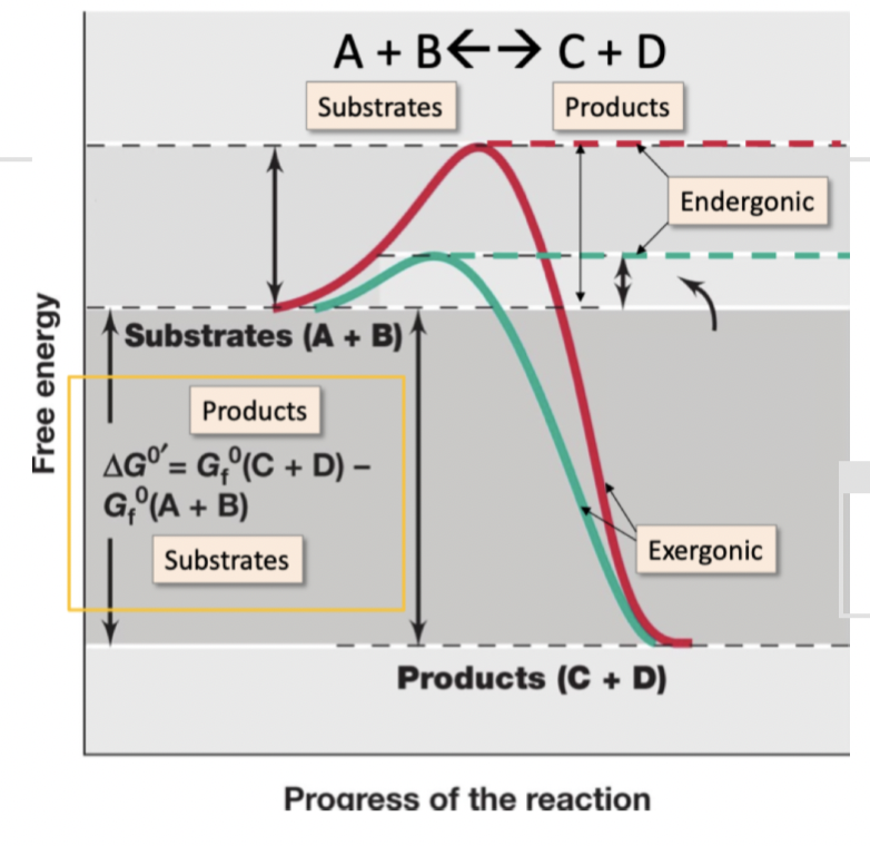 If there is free energy available, there is enough energy to give you a -ve change in -deltaG0, then a micro-organism has found a way to use it and then grow

      