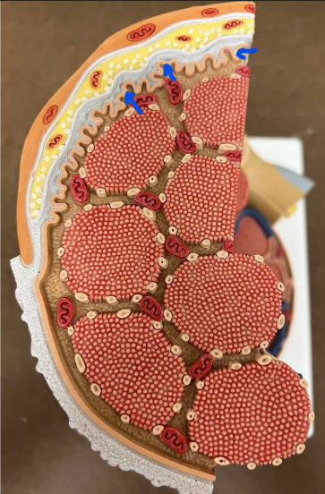 <p>What is this?</p>