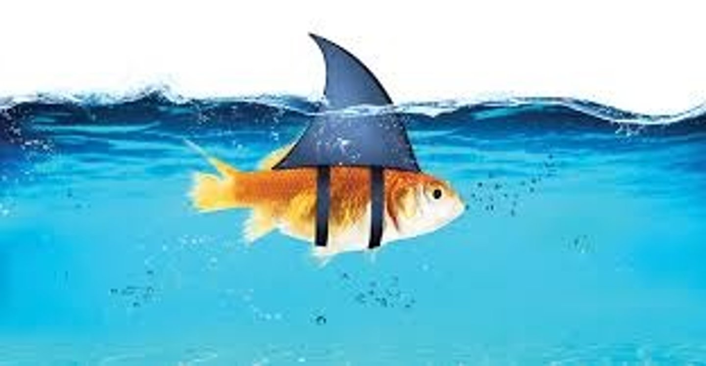 <p>lừa dối. Ex: First impressions are often _____.</p>