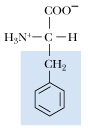 <p>What amino acid is this?</p>