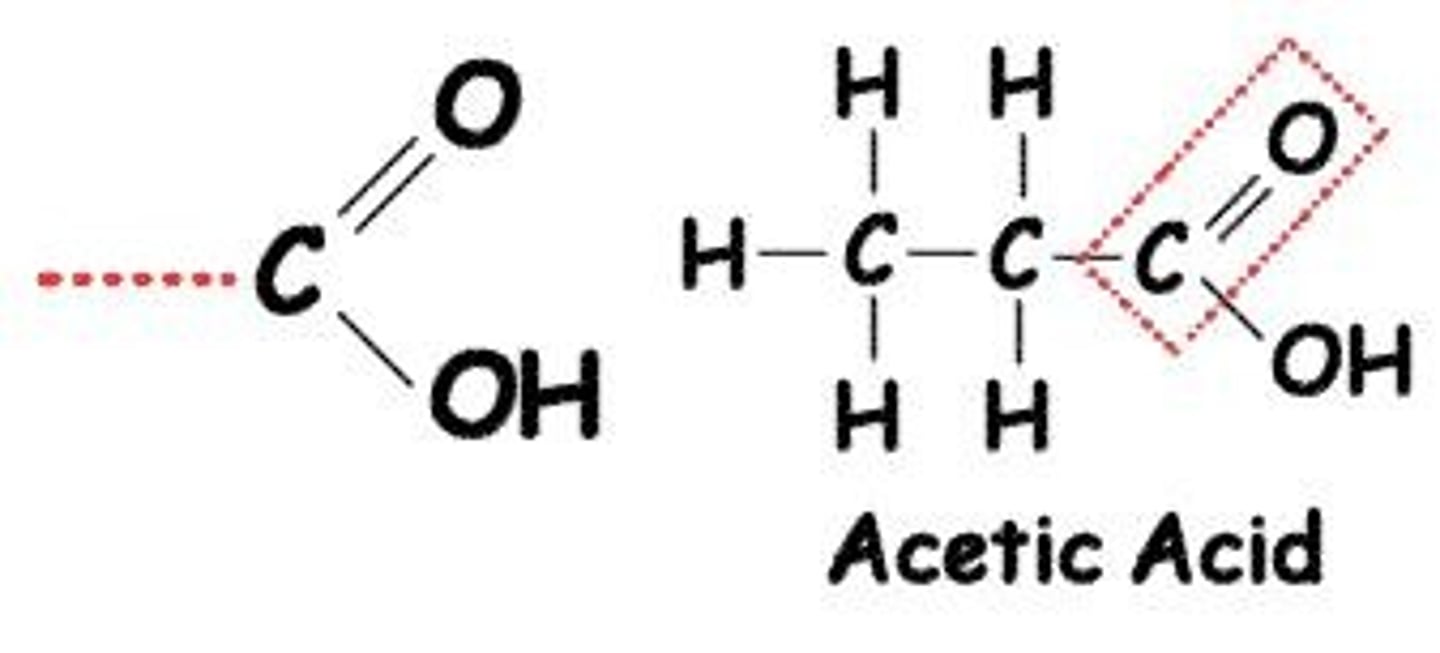<p>Carboxyl (-COOH) groups are found in acids, including fatty acids and amino acids.</p>