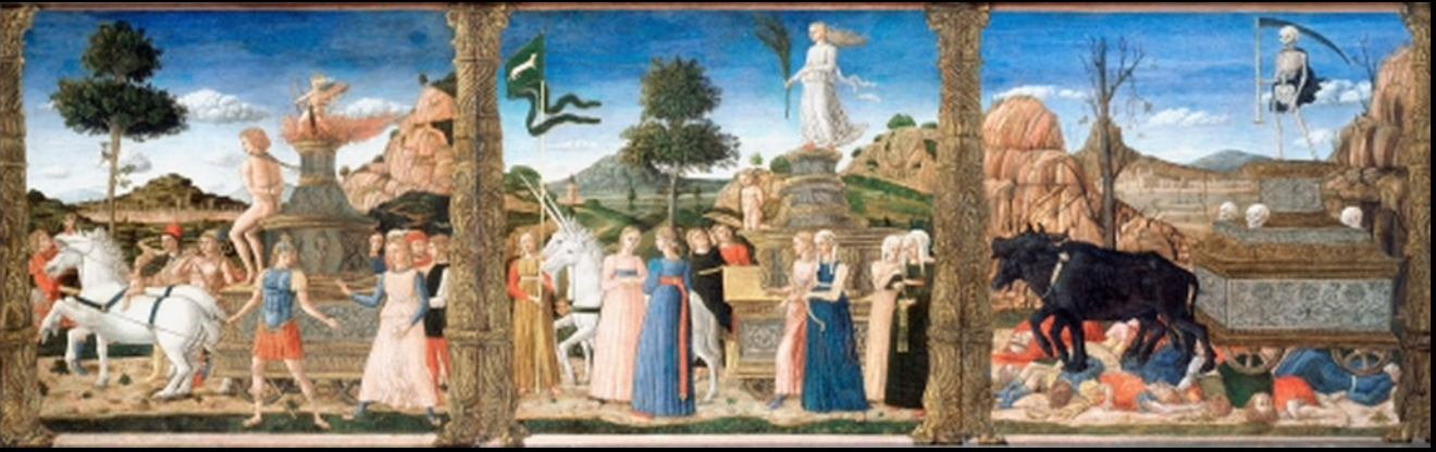 term image
