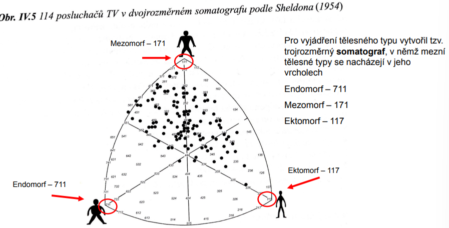 <p>Publikoval zcela odlišnou metodiku hodnocení tělesné stavby než byly užívány do této doby. Zavedl pojem <strong>somatotyp</strong>, který definoval jako vztah morfologických komponent vyjádřený třemi čísly</p><p>Sheldon pro vyjádření tělesné stavby zaved<strong>l tři komponenty,</strong> vyjádřené čísly. Názvy komponent odvodil od zárodečných listů a tkání z nich vznikajících, zavedl tedy <strong>komponentu ektomorfní, mezomorfní a endomorfní.</strong> Na jejich základě definuje tzv. <strong>morfofenotyp</strong>, tedy geneticky determinovaný tělesný typ. <strong>Každé z komponent přiřadil 7 bodovou stupnici. Celý somatotyp je nakonec vyjádřen trojčíslím</strong></p>