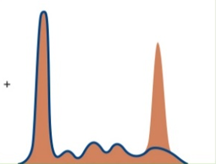<p><span><span>Which pattern is pictured?</span></span></p>