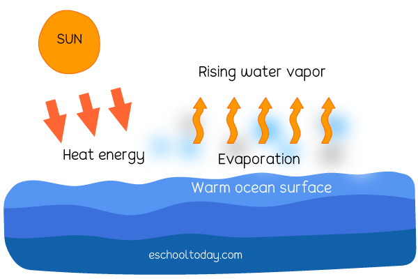 <p>Evaporation</p>