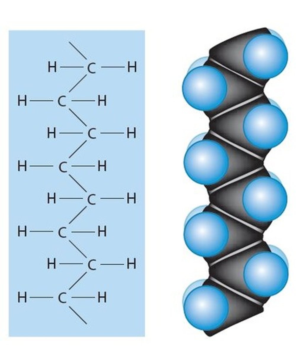 <p>Are in the tail of a fatty acid (Non-Polar, water hating, "hydrophobic") composed of Hydrocarbon (H-C-H)</p><p>- containing 4 single covalent bonds</p><p>- they tend to be found in butter, lard and animal products (fats)</p><p>- Not healthy for us</p>