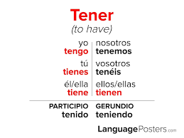 <p>una barba</p>