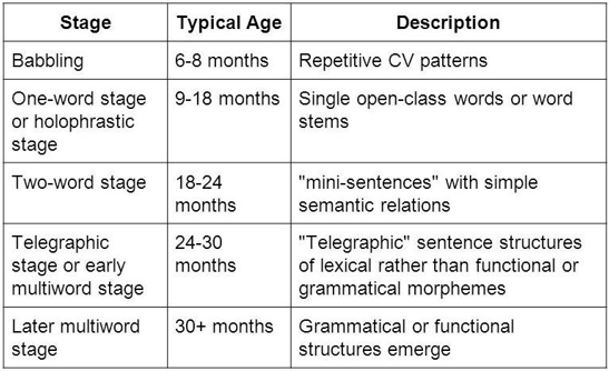 <ul><li><p>Babbling</p></li><li><p><em>One-word stage/holophrases (1-1.5 yrs)</em></p></li><li><p><em>Two-word stage (1.5-2 yrs)</em></p></li><li><p><em>Telegraphic stage (2-2.5 yrs)</em></p></li><li><p><em>Later Development (2.5+ yrs)</em></p></li></ul><p></p>