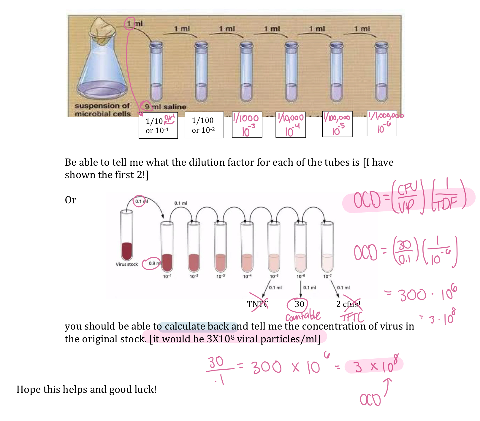 <ul><li><p>Original Concentration = CFU/volume plated times dilution factor</p></li></ul><p></p>