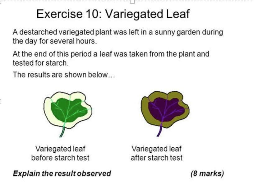 <p>what does each part mean</p>